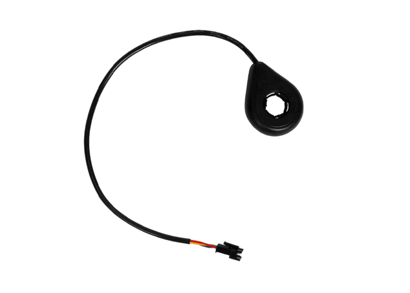 Algardi Speed Sensor for F2 Model