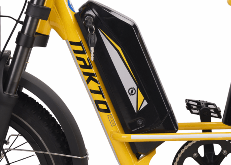 Algardi Ebike Battery Replacement for F4 - Image 7